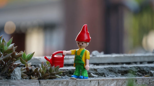 A plastic, toy gnome carrying a red watering can next to a real succulent on a windowsill.