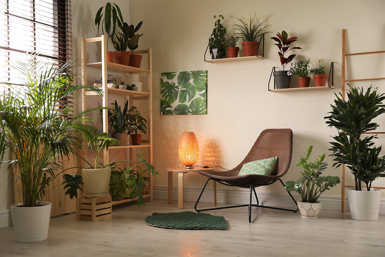 http://heyrooted.com/cdn/shop/articles/indoor_garden.jpg?v=1640713418