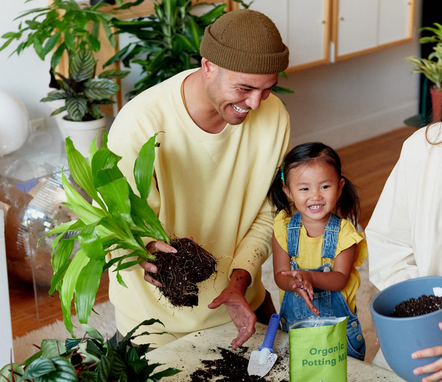Man with child potting a houseplant.