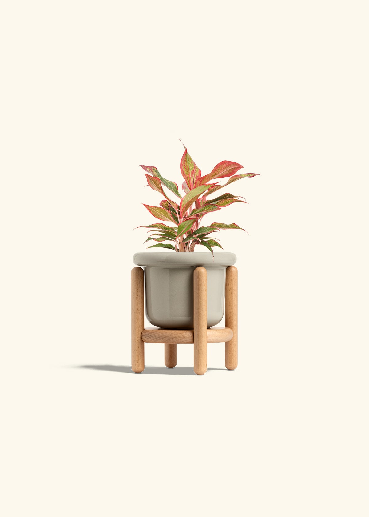 Fat Lip Planter Stand Combo, Oat