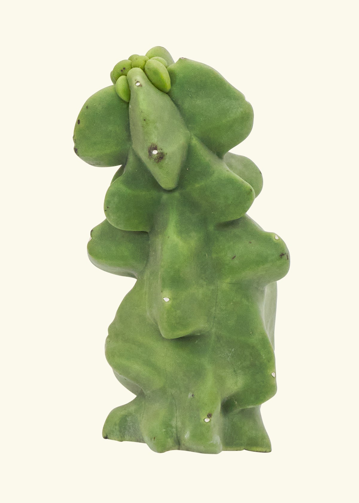 Totem Pole Cactus 0.5 ft