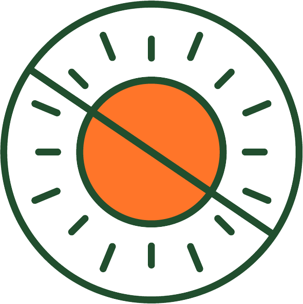 Plant light recommendation