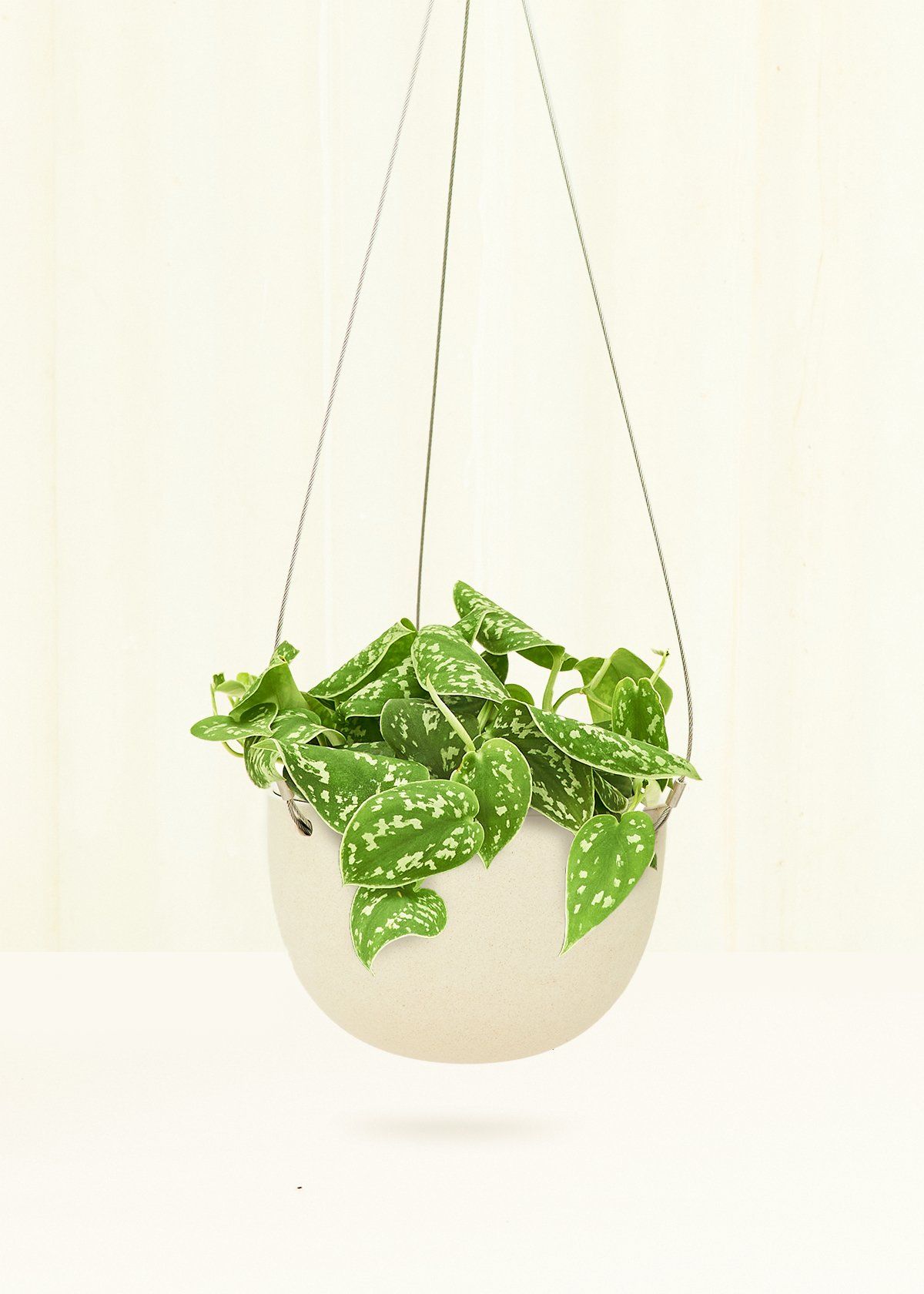 Rounded Hanging Planter 201 Planter KINTO Beige SM
