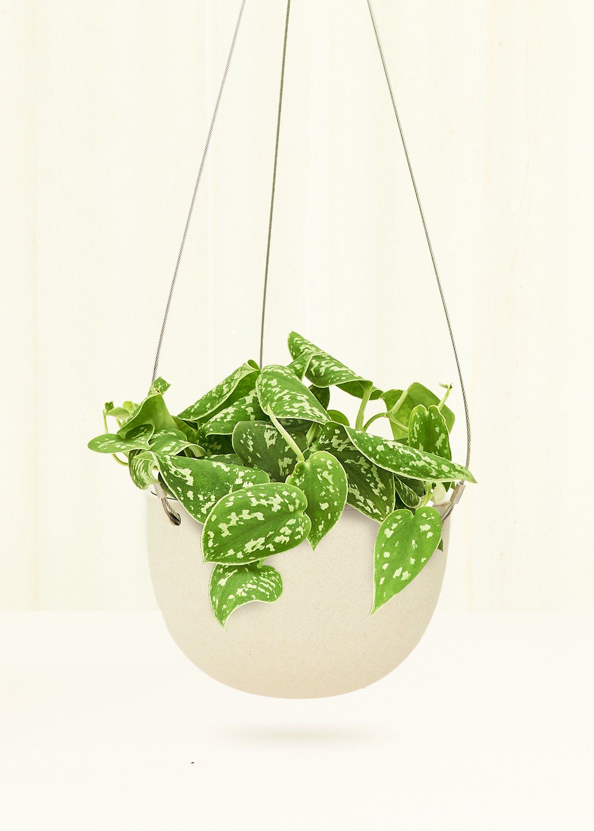 Rounded Hanging Planter 201 Planter KINTO Beige MD