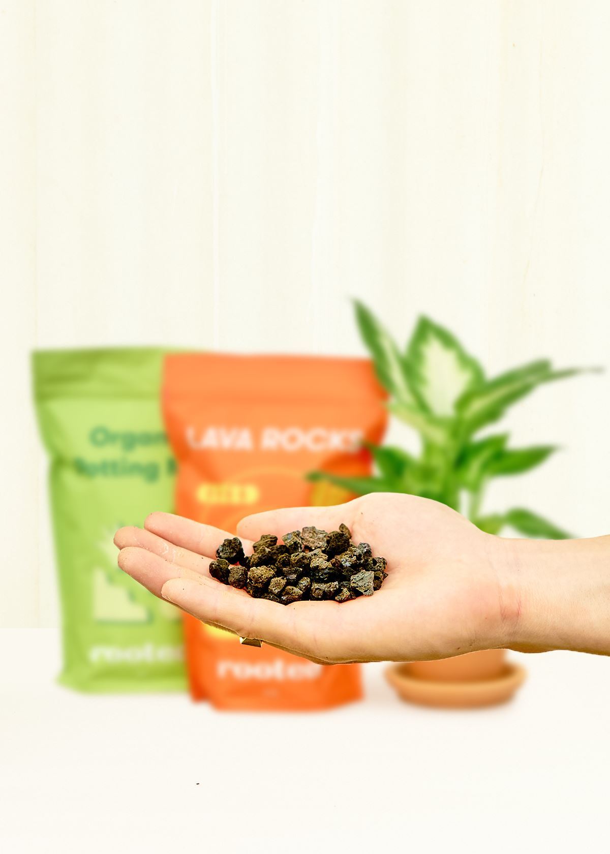 Lava Rocks Accessory Rooted