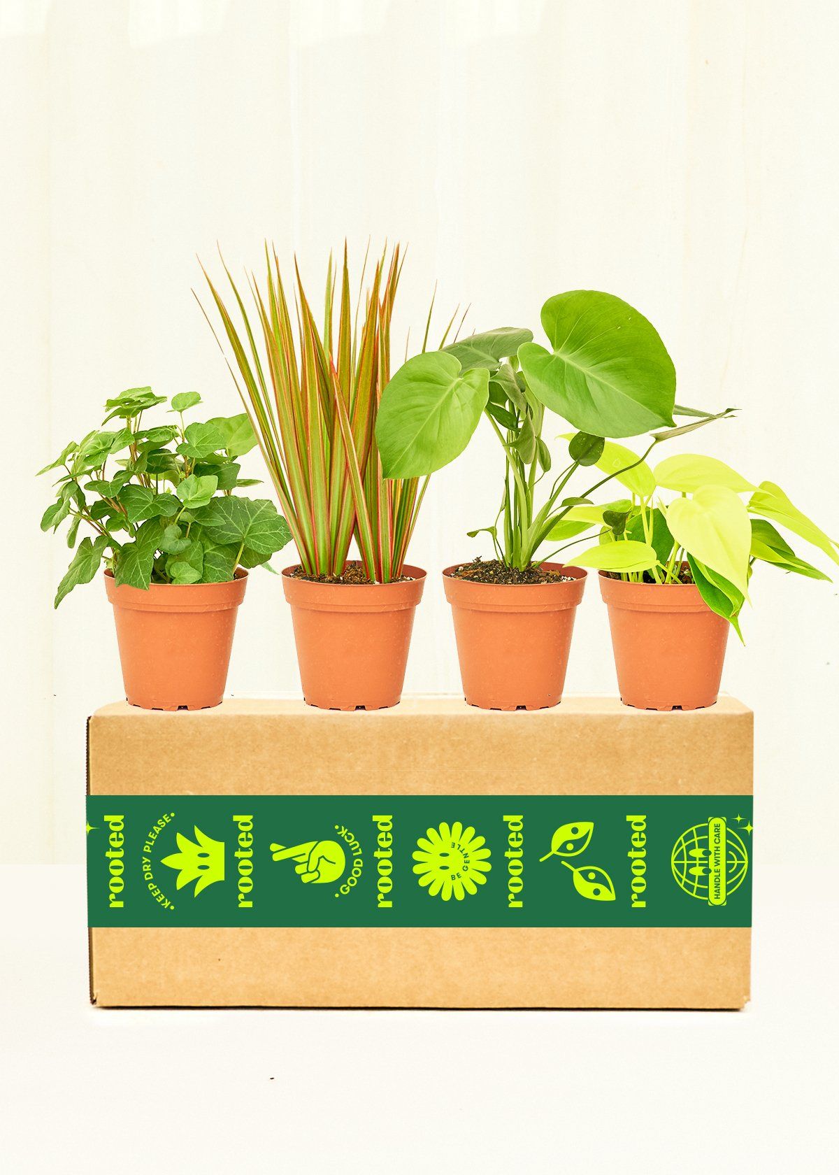 Plant in a Box