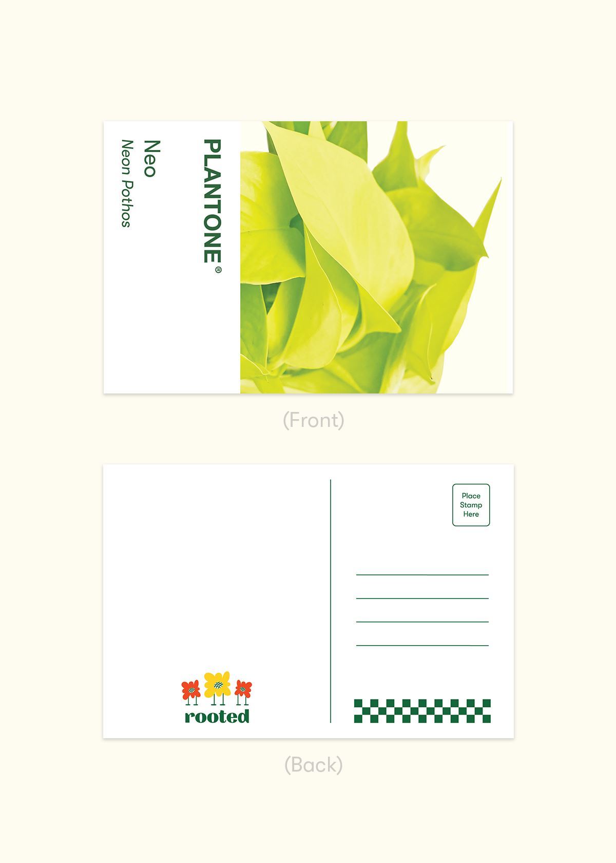 Plantone Postcard Set Merchandise Rooted