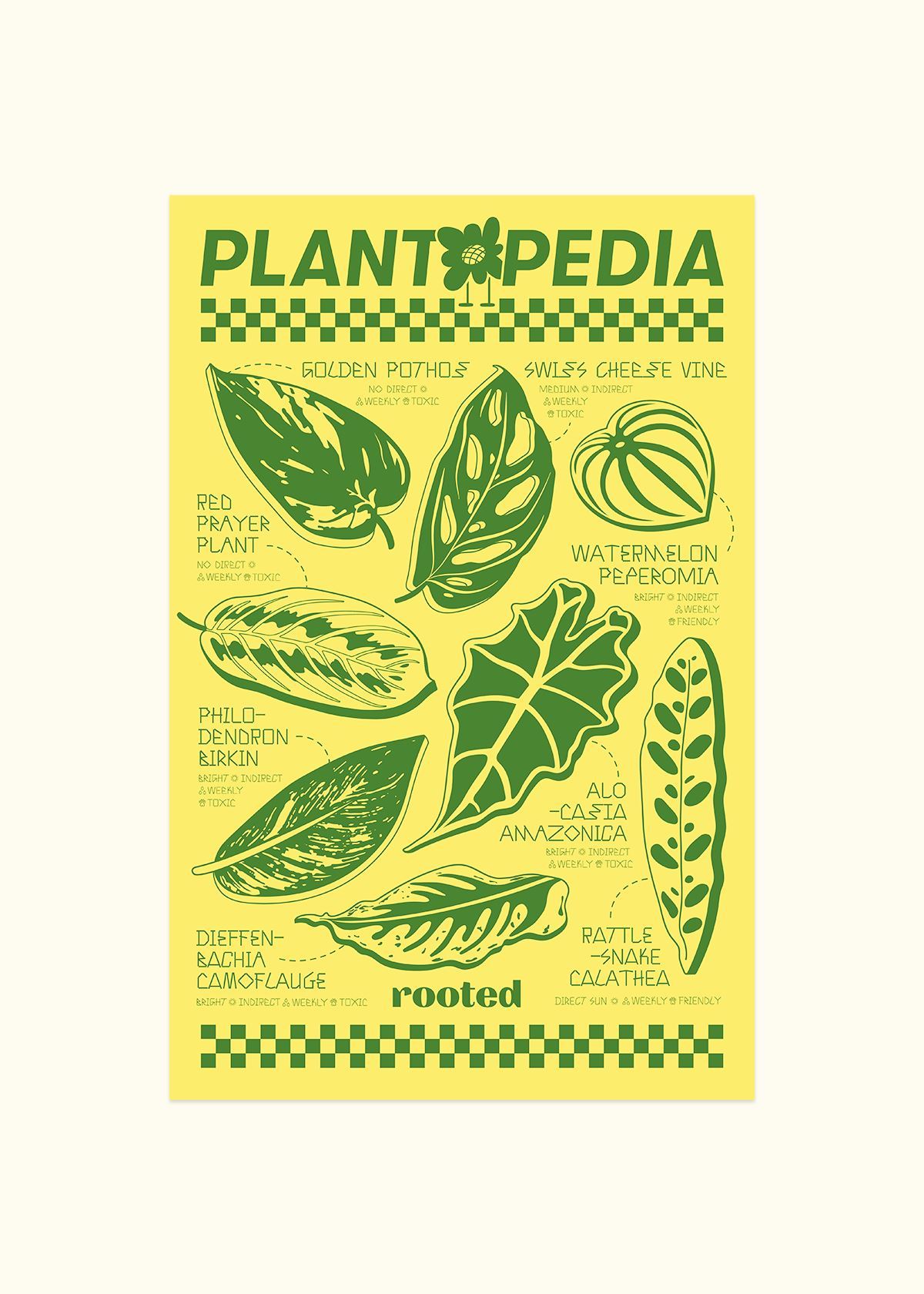 Plantopedia Poster Merchandise Rooted OS