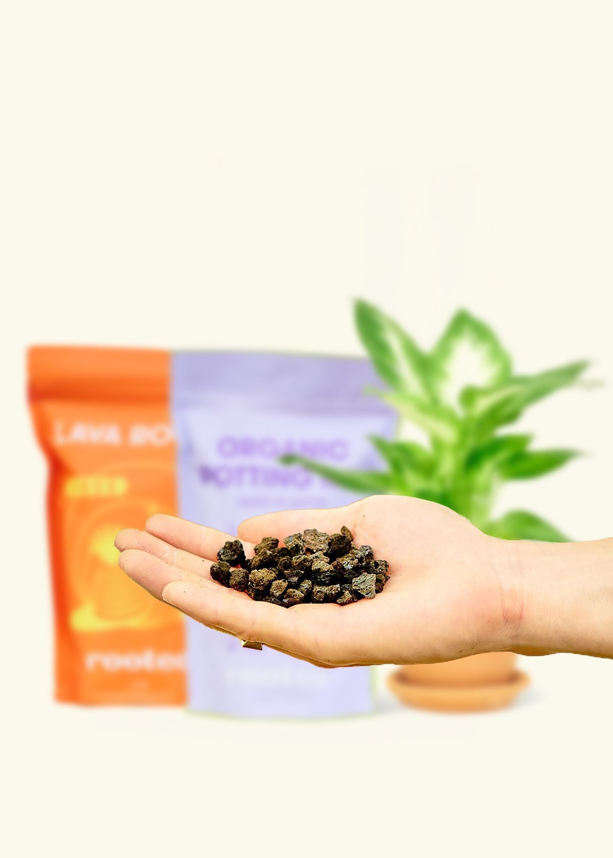 Potting Mix Trio, 3 Potting Mix