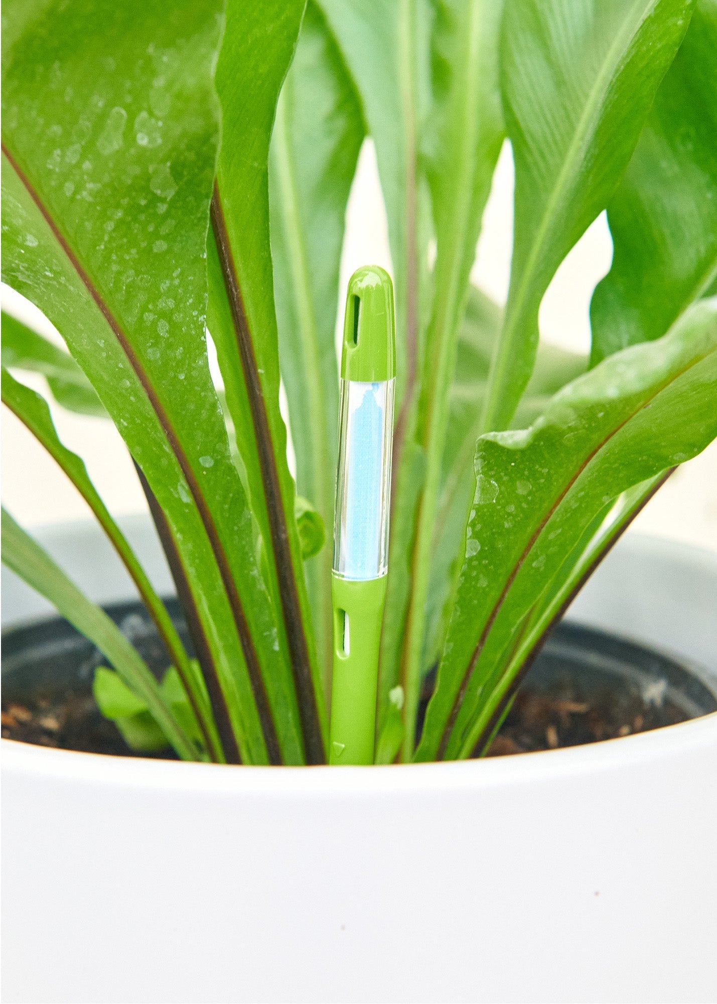 Medium Moisture Meters