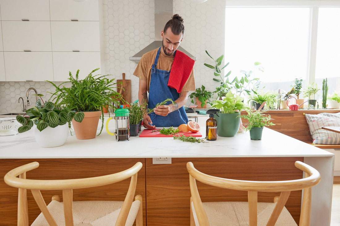 Man cooking in kitchen surrounded by herbs and potted plants