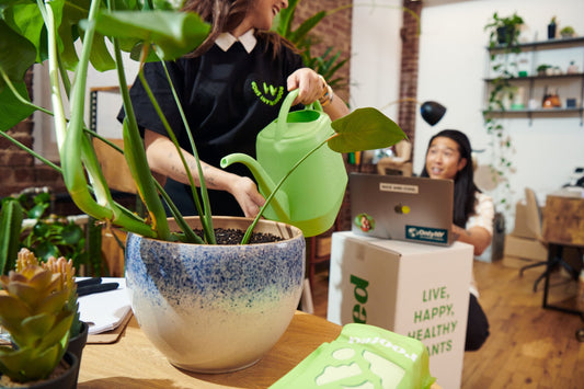 A woman watering a potted monstera with a green watering can while talking to someone who is working on a laptop.