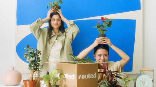 Man and woman holding houseplants over their heads in front of a blue background
