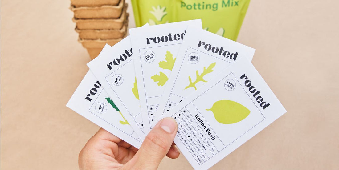 Rooted seed packets, cow pots, and orgainc potting mix