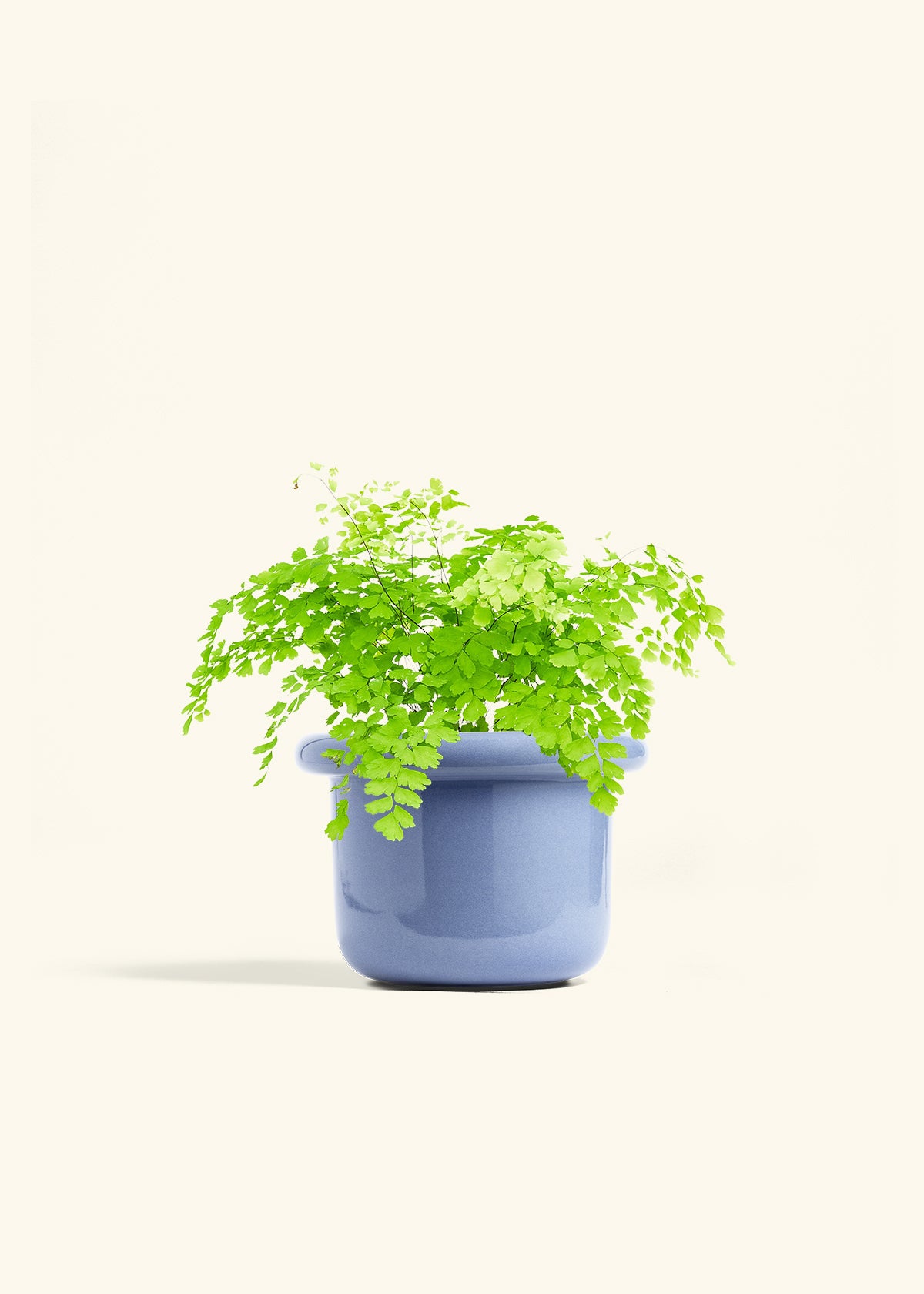 Fat Lip Planter, Cornflower
