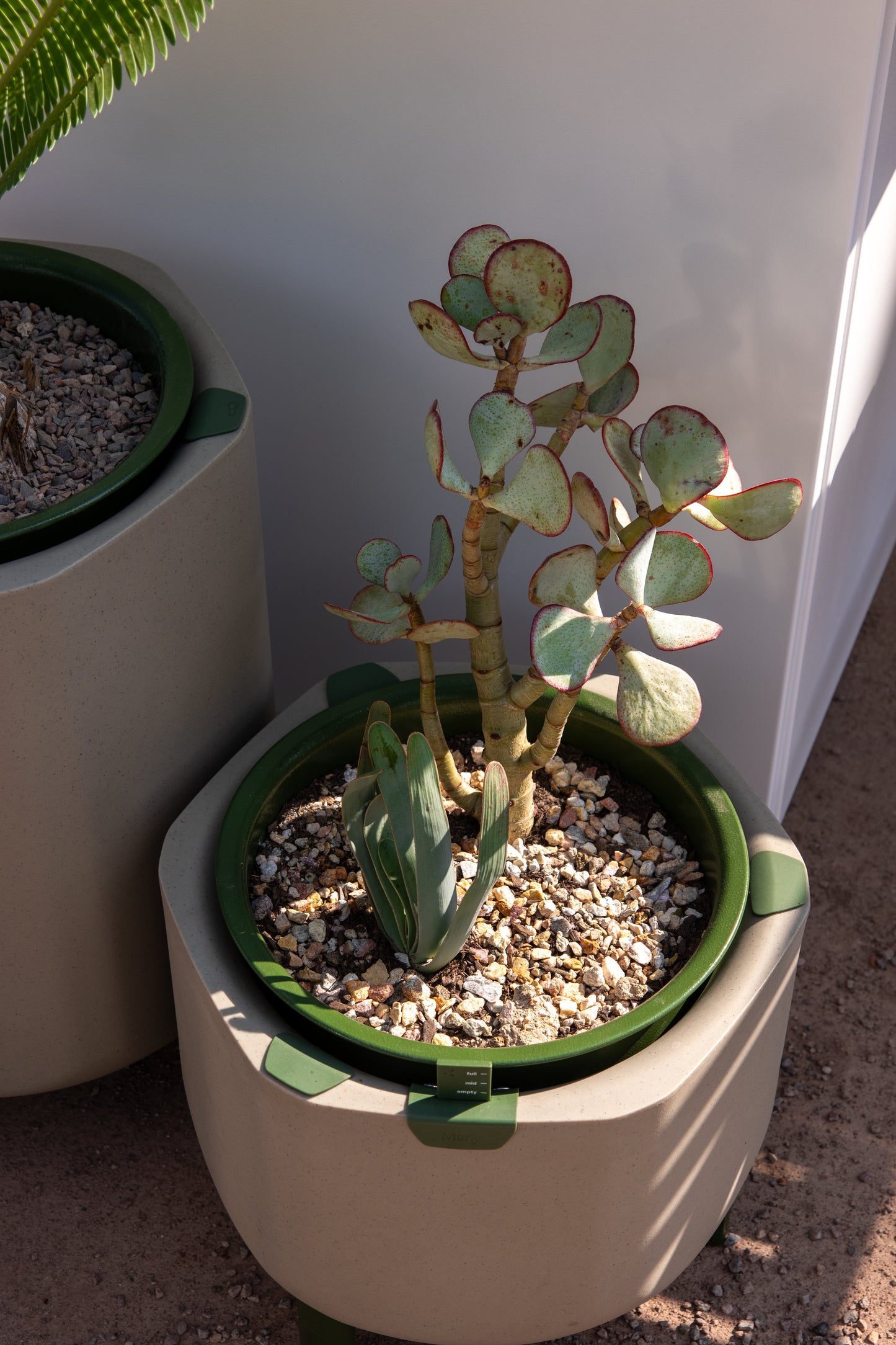 Self-Watering Planter, Sage