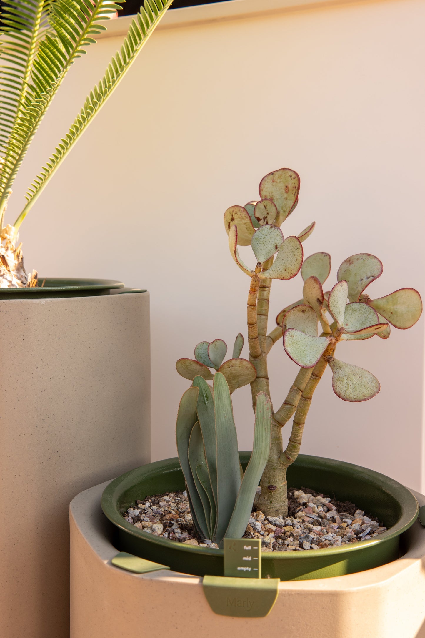 Self-Watering Planter, Sage