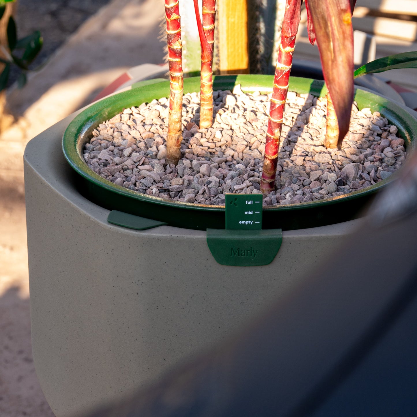 Self-Watering Planter, Sage