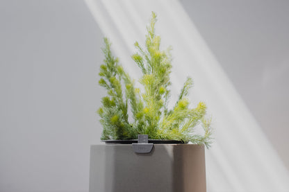 Self-Watering Planter, Sage