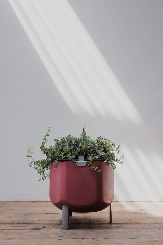 Self-Watering Planter, Terracotta