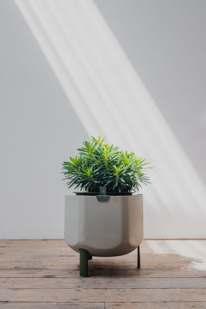 Self-Watering Planter, Sage