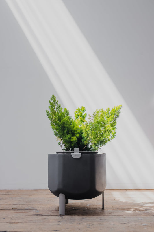 Self-Watering Planter, Charcoal