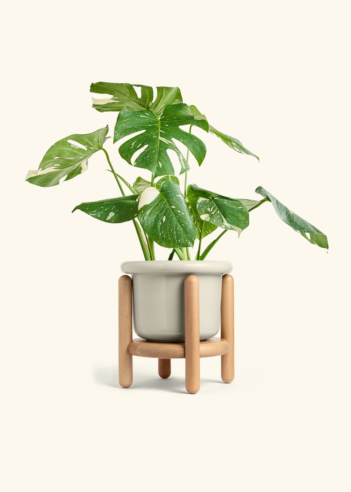 Fat Lip Planter Stand Combo, Oat