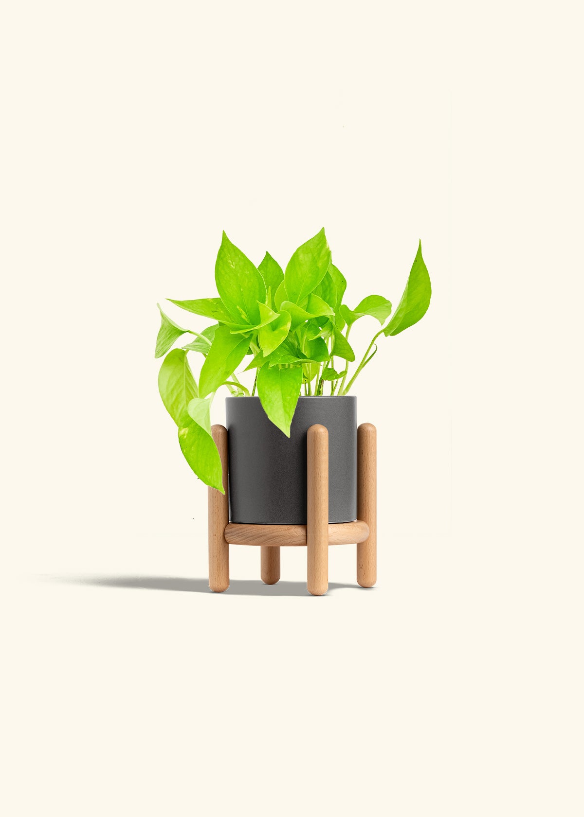 Classic Planter Stand Combo, Charcoal
