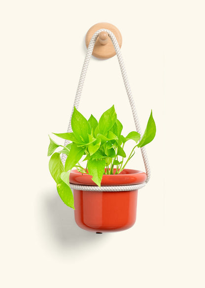 Hanging Fat Lip Planter, Poppy