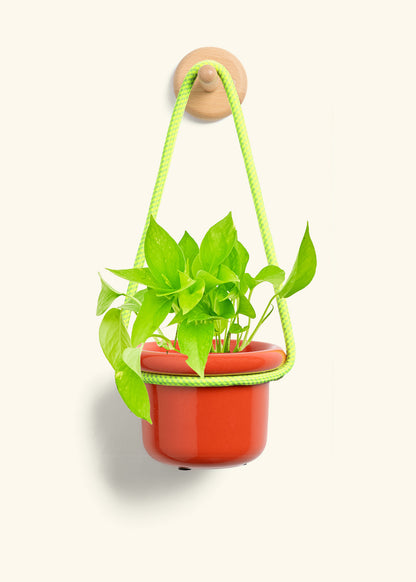 Hanging Fat Lip Planter, Poppy