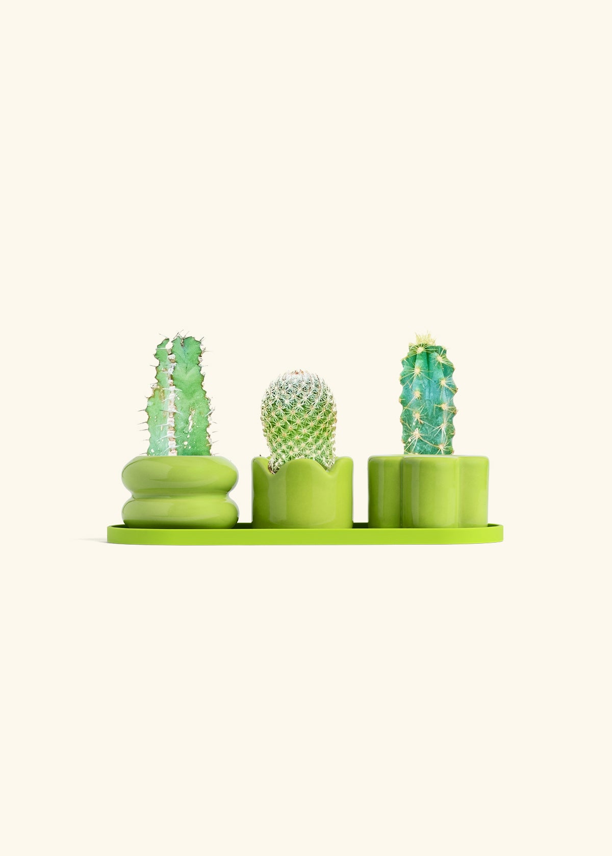 Mini Planter Trio, Lime