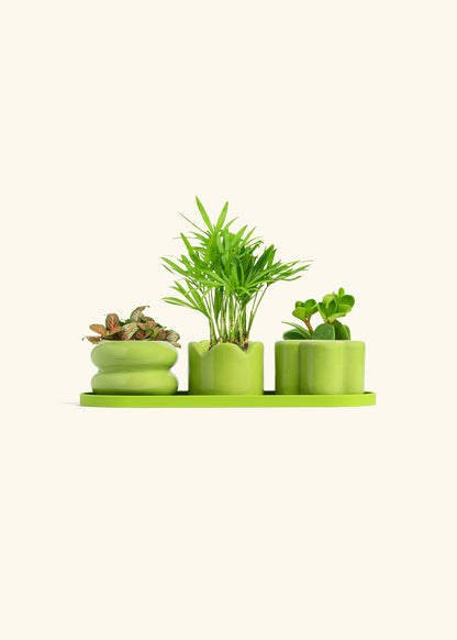 Mini Planter Trio, Lime