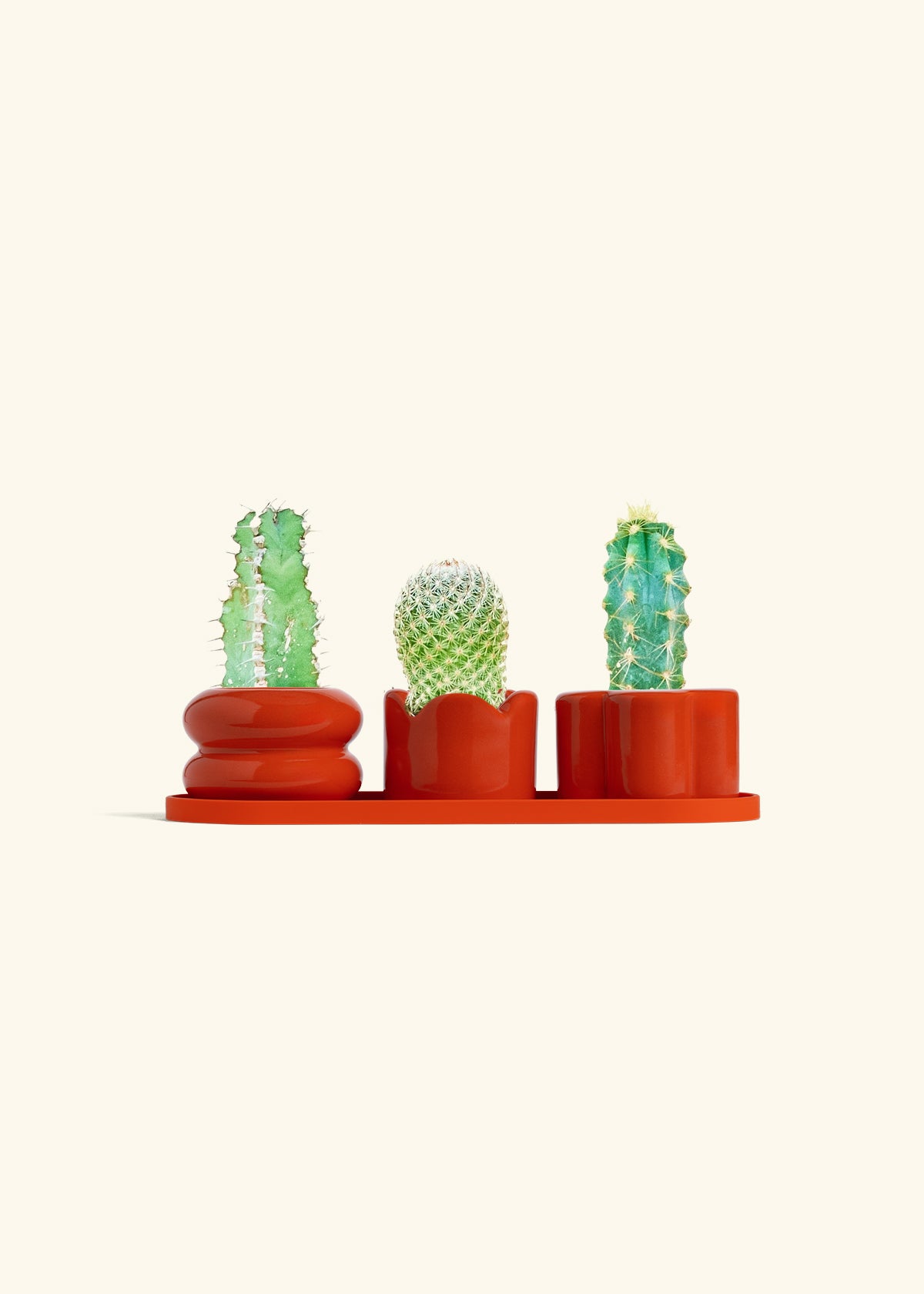 Mini Planter Trio, Poppy