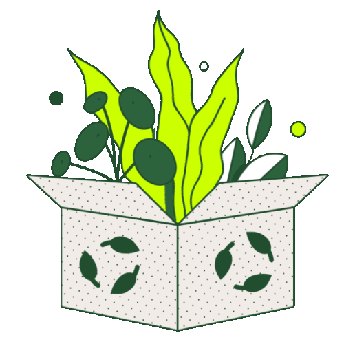 Illustration of plants in box