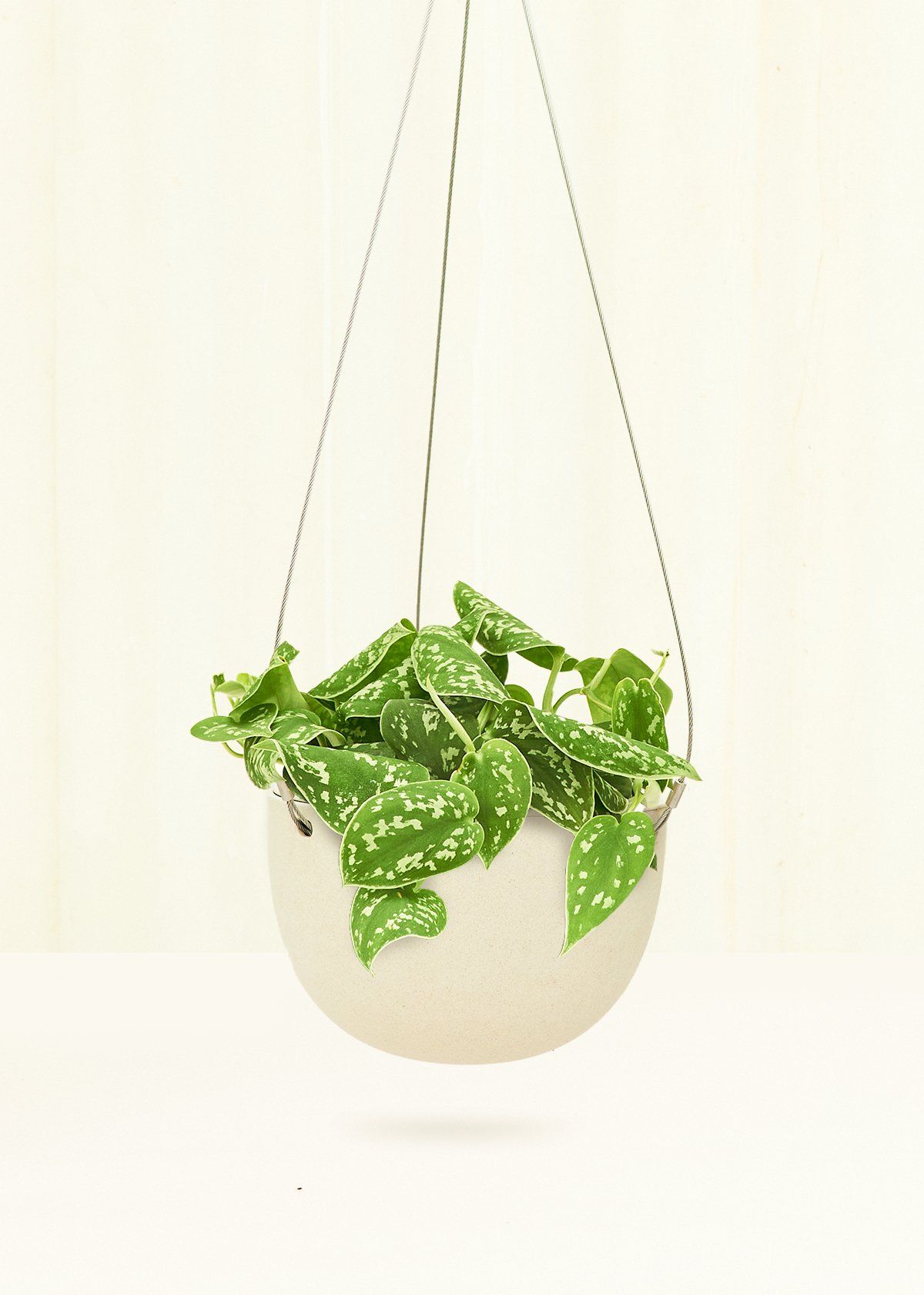 Rounded Hanging Planter 201 Planter KINTO Beige SM 
