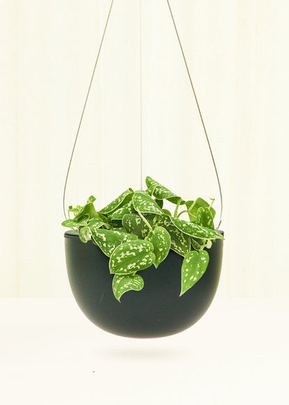 Rounded Hanging Planter 201 Planter KINTO Black MD 