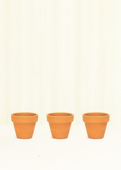Mini Standard Terracotta Planter Set Planter Deroma 