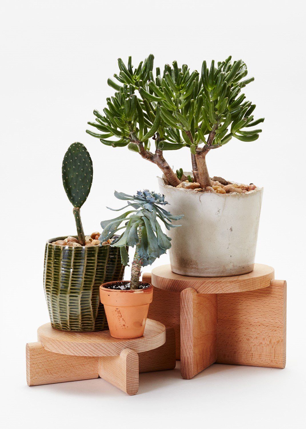 Wood Pedestal Set Planter Areaware 