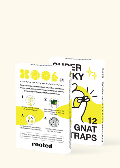 Super Sticky Gnat Traps boxes displaying that 12 come in a pack.