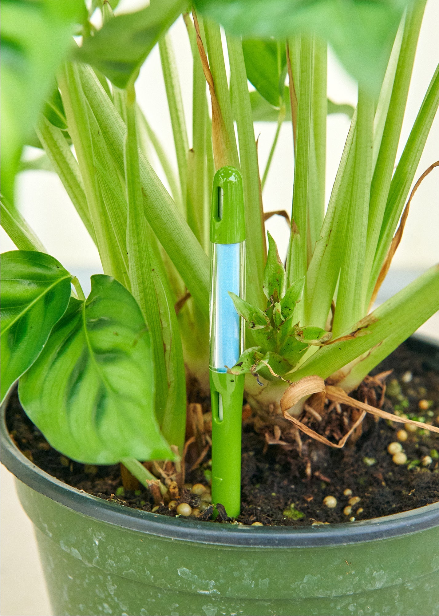 Moisture Meter